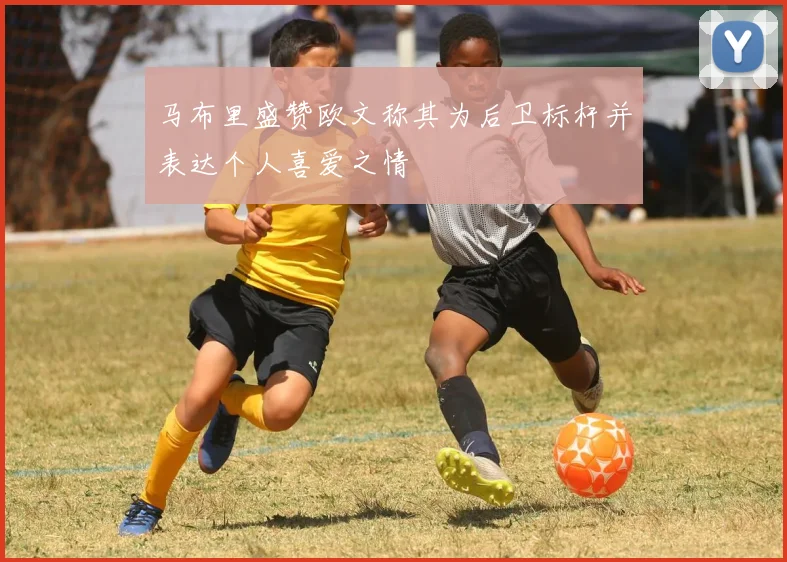 马布里盛赞欧文称其为后卫标杆并表达个人喜爱之情