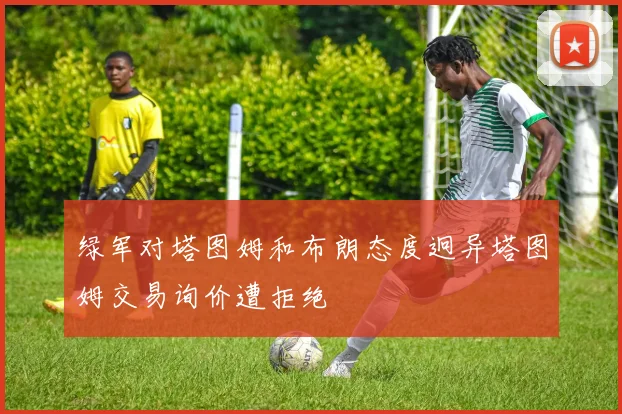 绿军对塔图姆和布朗态度迥异塔图姆交易询价遭拒绝