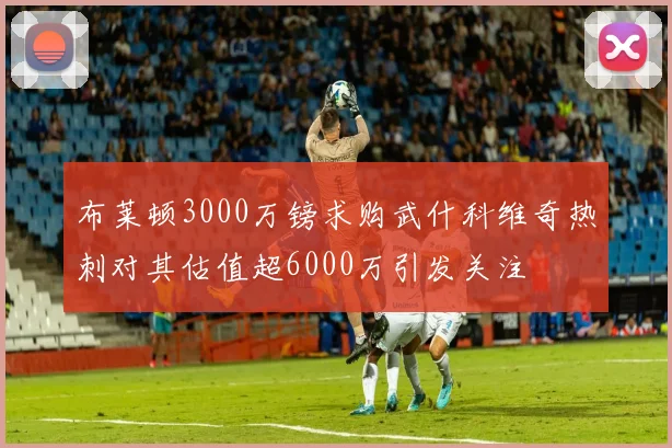 布莱顿3000万镑求购武什科维奇热刺对其估值超6000万引发关注